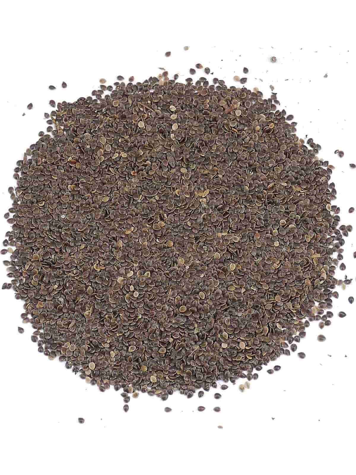 Isırgan Tohumu Yağı